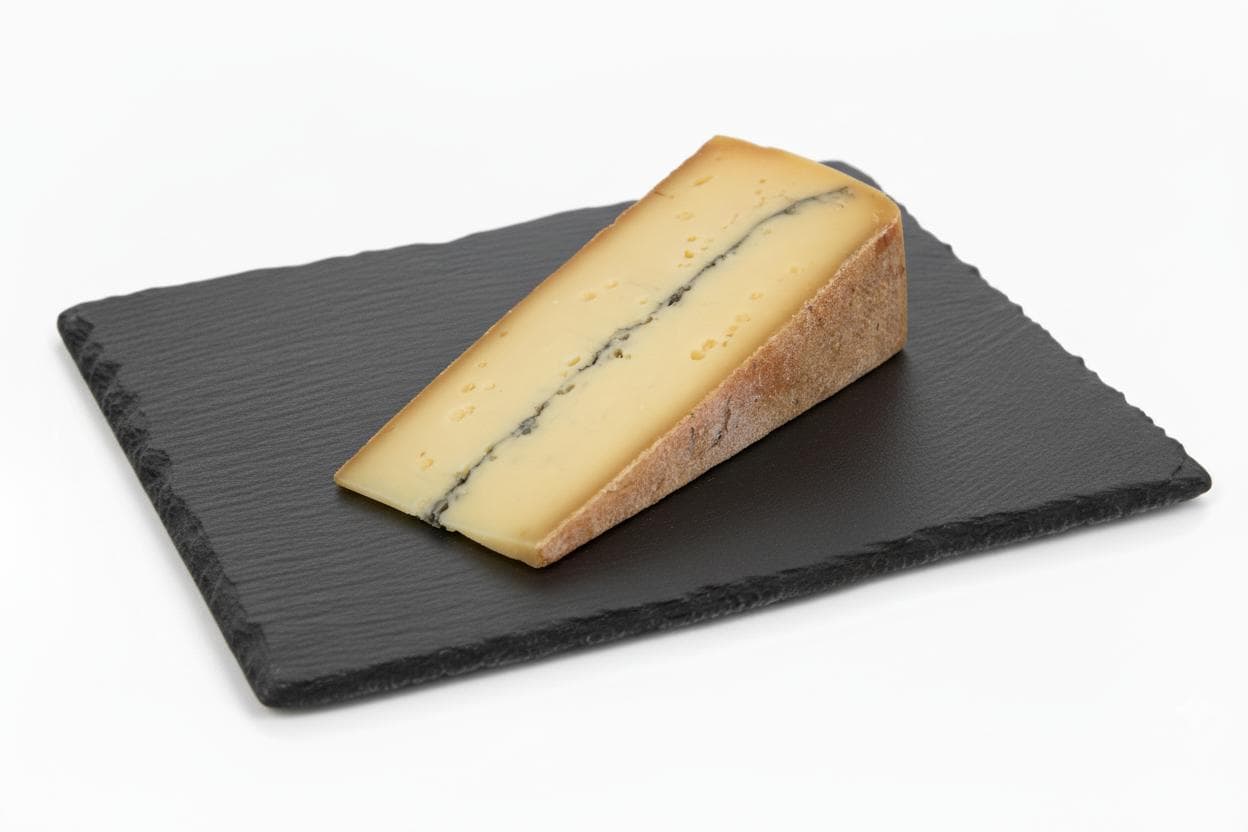 MORBIER